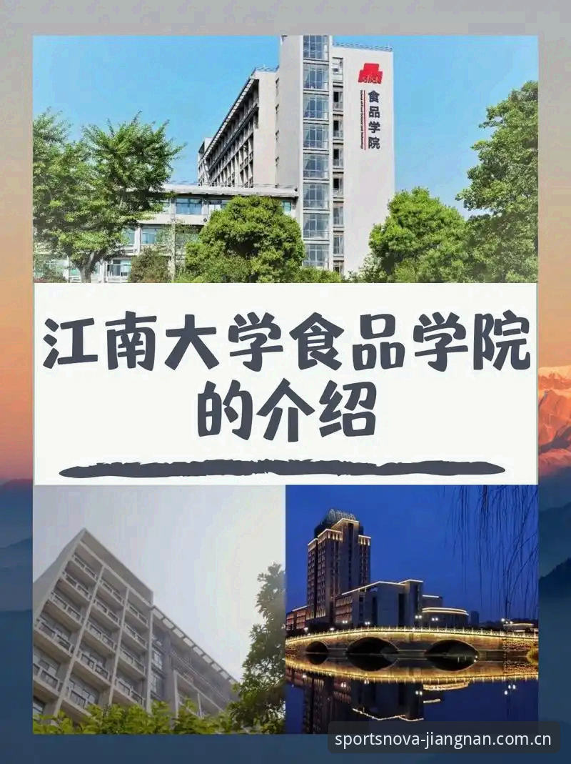 江南体育平台竞技体验完全指南：从入门到精通的使用心得